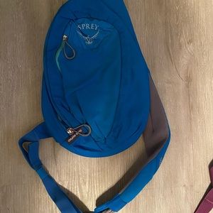Blue osprey daylite sling